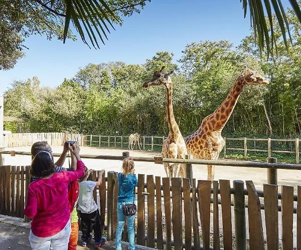 A 150m De La Grande Plage- 4 Adultes,1 Enfant * 莱萨布勒-多洛讷