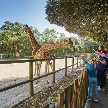 à 150m De La Grande Des Sables D'olonne Appartement *