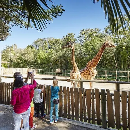 à 150m De La Grande Des Sables D'olonne * Les Sables-dʼOlonne