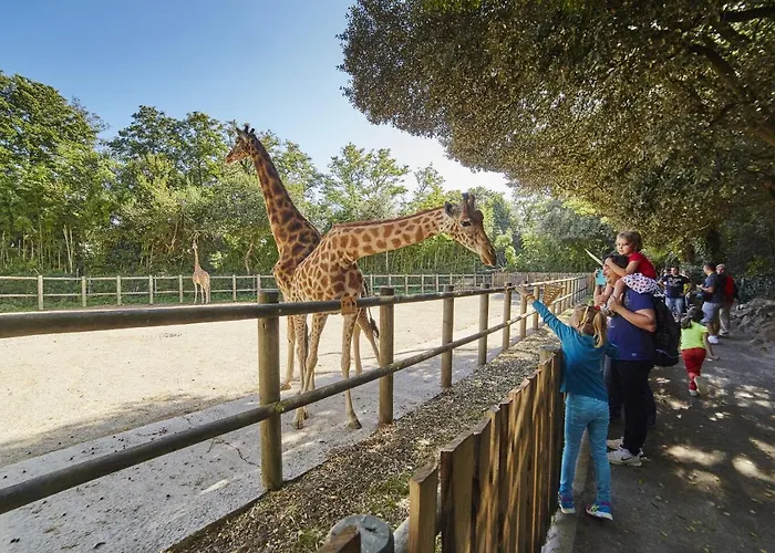 A 150m De La Grande Plage- 4 Adultes,1 Enfant شقة *